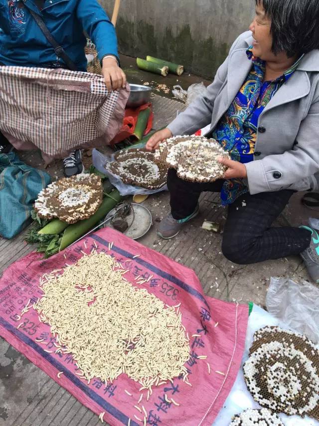 OH!MG。。这个季节“蜂”狂的镇沅！...