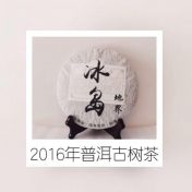 冰岛古树茶