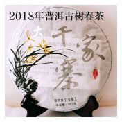 千家寨古树茶